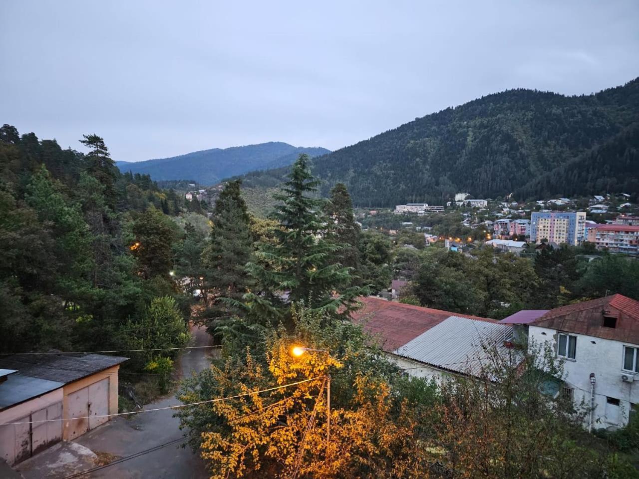 Гостевой дом Likani 2017 Боржоми Номер фото